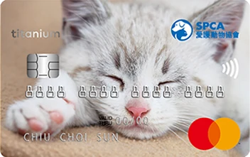 Spca Mastercard Kitten
